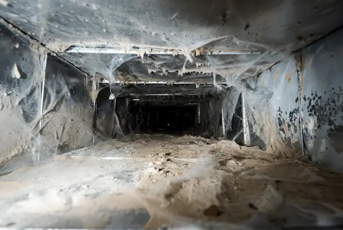 HVAC duct interior with mold and moisture buildup