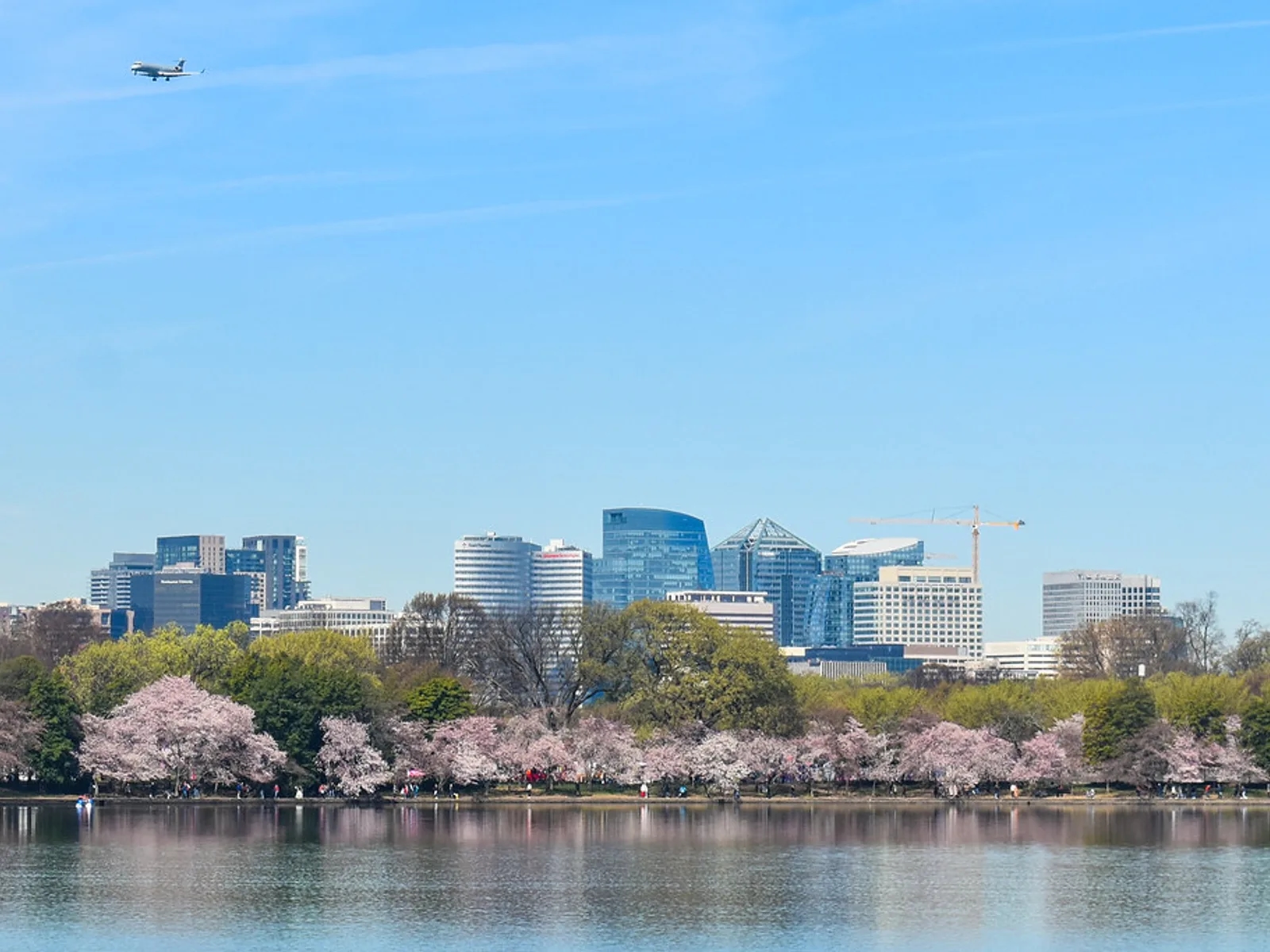 Air duct cleaning in Arlington, VA — Amazon Air Duct Cleaning