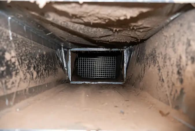 Professional air duct and dryer vent cleaning service