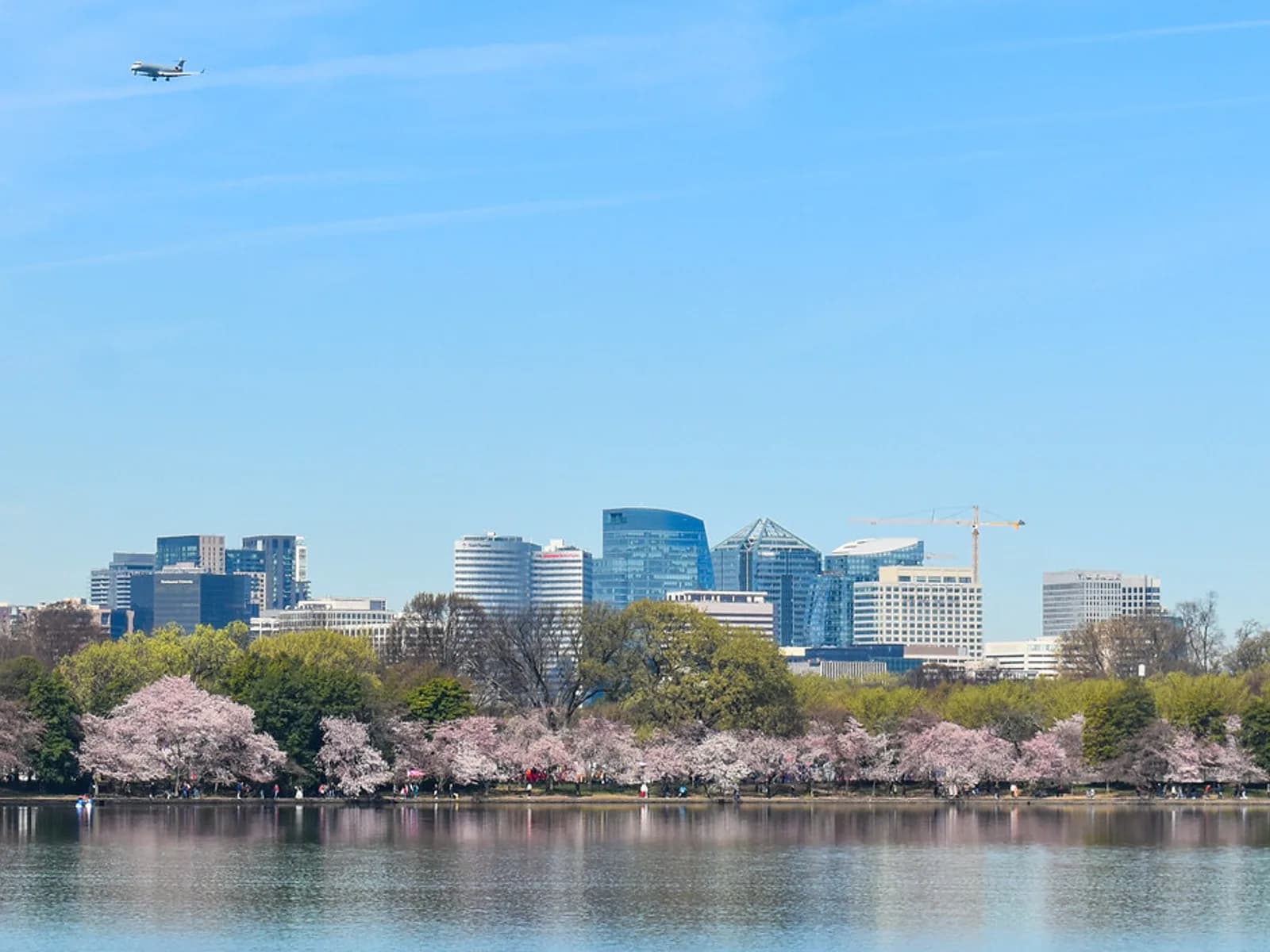 Air duct cleaning in Arlington, VA — Amazon Air Duct Cleaning